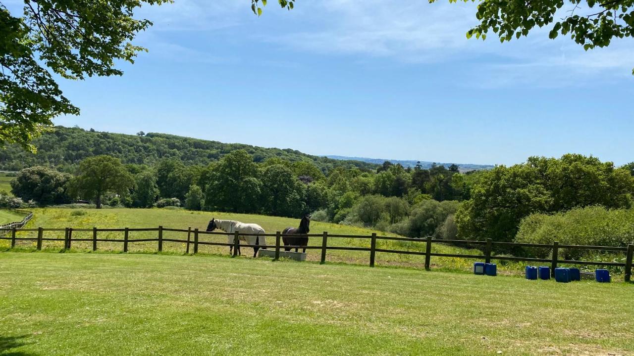 Spacious Primrose Lodge For 6 With Hot Tub At A Spa Resort Chudleigh Eksteriør billede